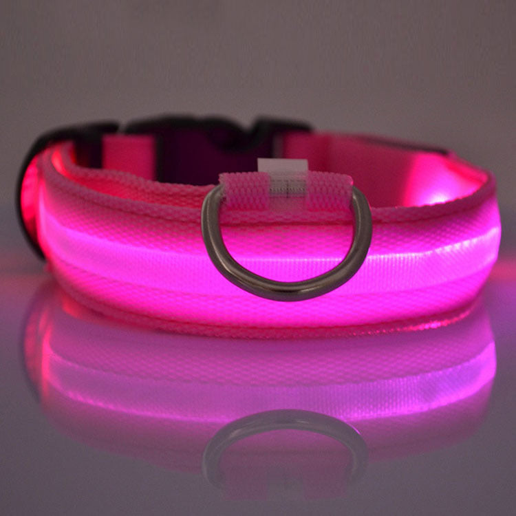 Safety Dog LED Collar