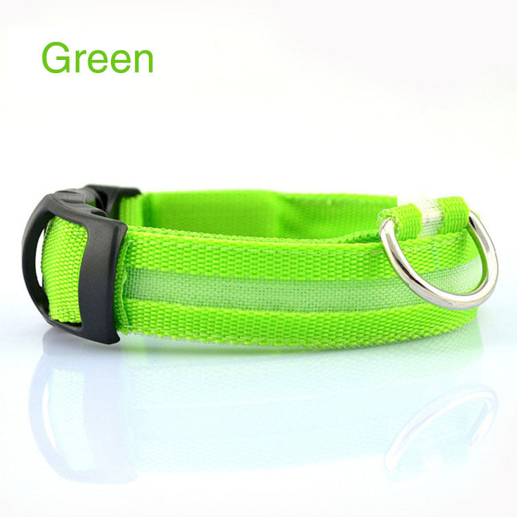 Safety Dog LED Collar