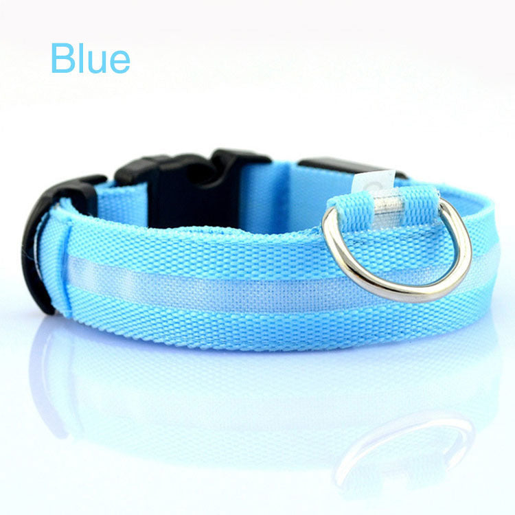 Safety Dog LED Collar