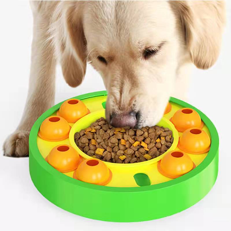 Dog Puzzle Toys