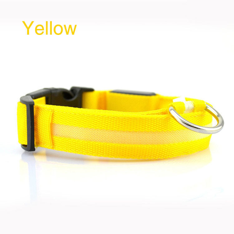 Safety Dog LED Collar