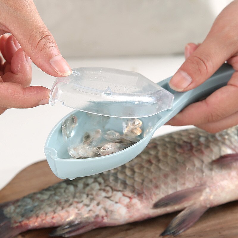 Affordably™ Fish Scaler